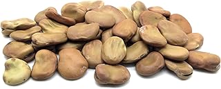 Vicia faba, fèves - super aquadulce, biologique, 40 graines - semis automne/printemps