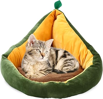 Lit pour chien et chat avocat mignon | d'intérieur confortable
