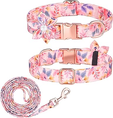 Collier pour chien personnalisé avec de jolis colliers personnalisés pour filles et chiens