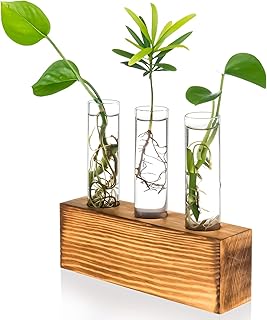 Kingbai support de tube à essai en verre cristal sur support en bois