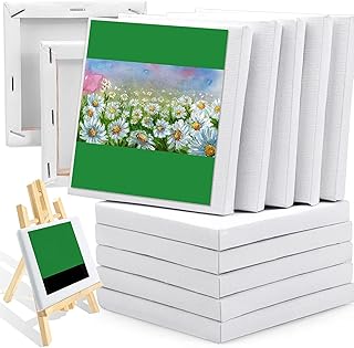 Mini peintures sur toile tendues siosi pour petite peinture professionnelle et peinture