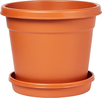 Pot de fleur rond en plastique cosmoplast de 6 pouces avec plateau