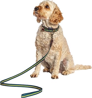 Laisse pour chien tissée fatface bold stripe de conception danoise bleu/2,5 cm