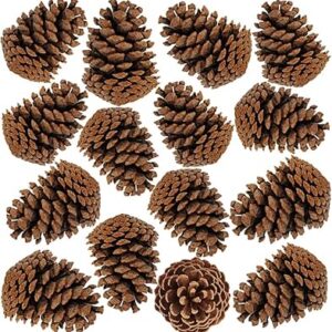 15 pièces pommes de pin de noël naturelles 7-9 cm pour les fêtes d'automne et de noël et la décoration de la maison. Simplifiez vos achats avec Diaytar, le e-commerce nouvelle génération