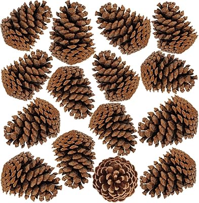 15 pièces pommes de pin de noël naturelles 7-9 cm pour les fêtes d'automne et de noël et la décoration de la maison. Simplifiez vos achats avec Diaytar, le e-commerce nouvelle génération
