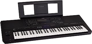 Clavier 61 touches yamaha psr-sx900, disposition des touches hautes + transducteur pa300