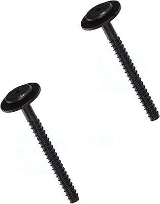 Appareil à vie (paquet de 2) 316433300 vis compatible avec les fours frigidaire