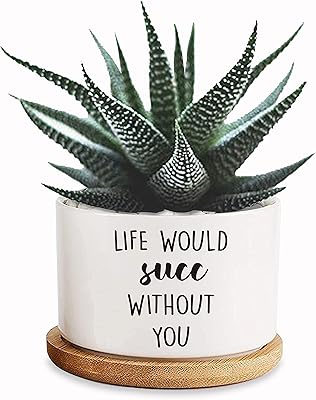 Mini pot en céramique au design amusant live wood sak 35 pouces