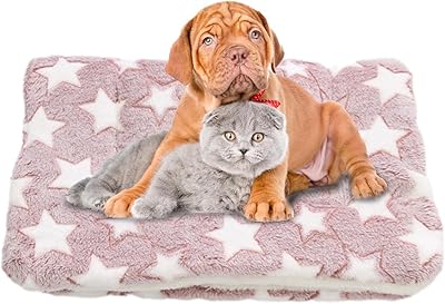 Couverture apaisante confortable pour chats chiens chatons avec de jolies empreintes de pattes