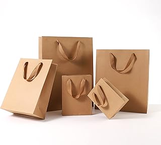 Red dot gift lot de 10 sacs en papier kraft de forme verticale