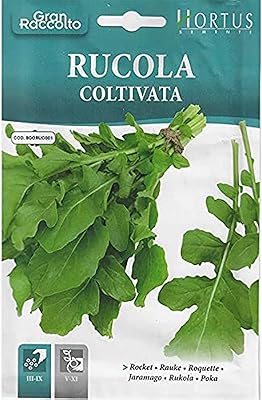 Graines de roquette hortus (rucula coltivata) de haute qualité (fabriquées en italie)