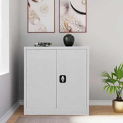 Armoire de bureau en acier basse hauteur regid, classeur avec étagères et compartiment