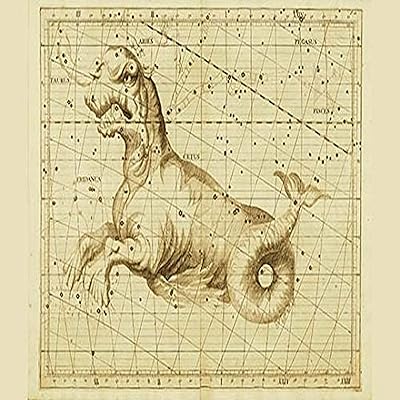 Buyenlarge 0-587-29427-2-c2030 \"taureau\" impression sur toile enveloppée dans une galerie, 20\" x 30\"