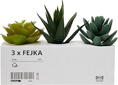 Ikea 203.953.31 fejka mini plantes succulentes artificielles de bureau en pots de 6
