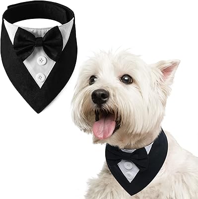 Costume de smoking pour chien voami collier de mariage formel avec nœud