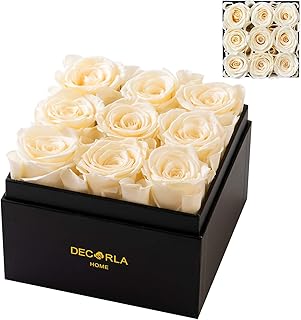Boîte de roses préservées faites à la main, vraies roses durables, parfaites