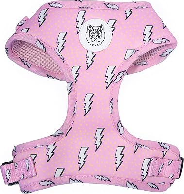 Harnais pour chien de la collection feel the thunder pour chiens de petite