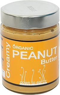 Beurre de cacahuète crémeux biologique terre-à-terre | sans sel | délicieux beurre