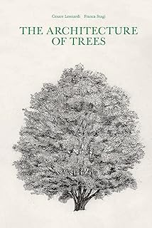 L'architecture des arbres