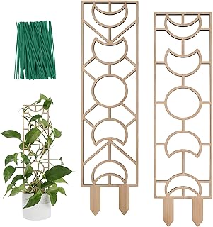 Treillis pour plantes grimpantes, petit treillis en bois de 16" pour plantes en pot avec film résistant à l'humidité pour vigne domestique et lierre, lune et motif géométrique. Gagnez du temps et de l'argent avec Diaytar