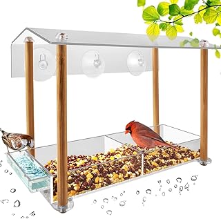 Mangeoire à oiseaux robuste de grande taille avec ventouses et bac