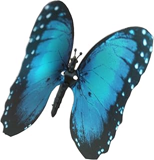 Élégant aliforms blue morpho - (morpho hyacinghus), papillon morpho bleu animé