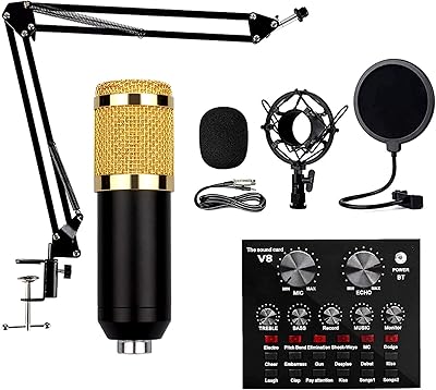 Ensemble de microphones à condensateur professionnels bm-800, carte son v8 rechargeable avec 12