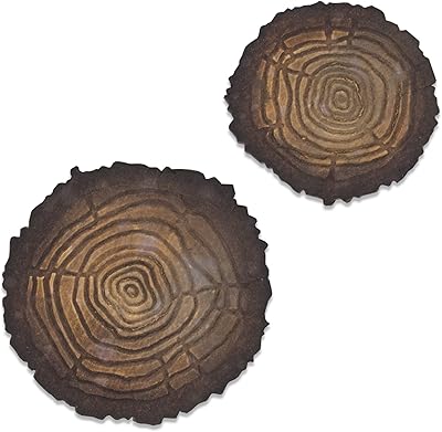 Anneaux d'arbre signature tim holtz sizzix bigz fading, multicolores