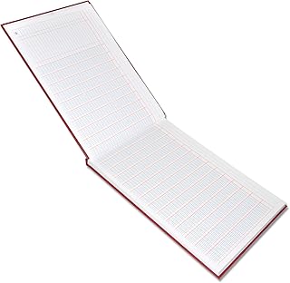 Livre d'analyse fis, 96 feuilles, 24 colonnes, 100 g/m2, 345 x 250 mm