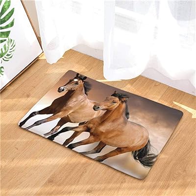 Tapis imprimé cheval paillassons salle de bain cuisine tapis maison tapis de sol