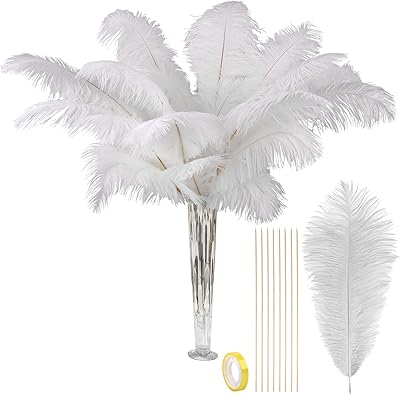 Grandes plumes d'autruche blanches naturelles vegive, kit de fabrication de plumes de 28 pouces pour l'artisanat, les fleurs, la décoration intérieure, le mariage, la fleuristerie, la pièce maîtresse de décoration florale. Votre satisfaction, notre priorité chez Diaytar