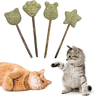 Jouet boule d'herbe à chat jouet interactif de sucette naturelle 4