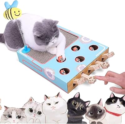 Table à gratter pour chat, jouet interactif pour chatons avec herbe à chat