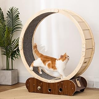 Tapis roulant d'intérieur pour chat, vélo d'exercice pour chat avec tapis, grand exercice