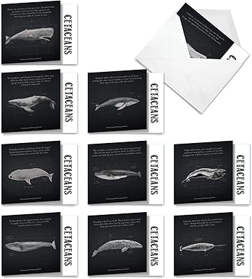 The best card company - 10 cartes vierges avec enveloppes (4 x 5,12")