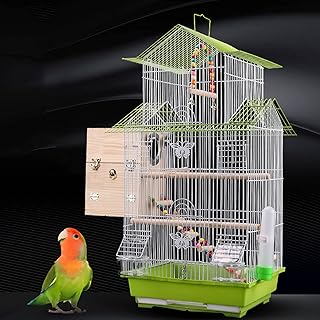 Cage à perroquets de luxe, grande cage à oiseaux en métal à double