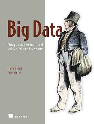 Big data : principes et bonnes pratiques des systèmes de données en temps