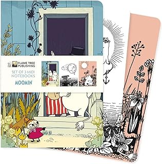 Lot de 3 carnets midi moomin