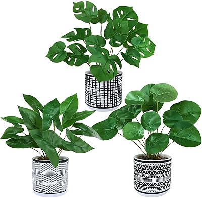Wenlin ensemble de 3 petites plantes tropicales en pot plante monstera