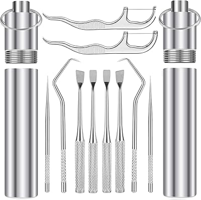 Ensemble de 10 porte-cure-dents portables en métal, porte-clés réutilisable en acier inoxydable