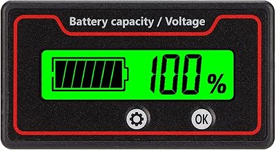 Compteur de capacité de batterie, indicateur de tension de batterie à deux modes