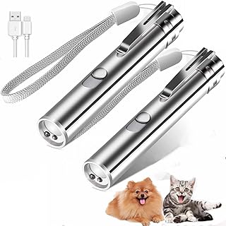 Stylos à faisceau laser amusants pour jouer avec les chats et les chiens