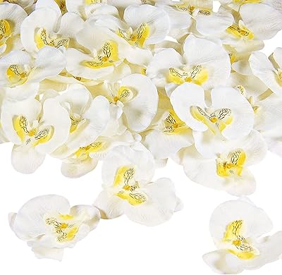 50pcs pétales d'orchidées artificielles pour la décoration de fête de mariage phalaenopsis têtes