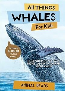 Tout sur les baleines pour les enfants : rempli de nombreux faits, photos et divertissements pour tout savoir sur les baleines. Diaytar Sénégal : Votre destination e-commerce pour des produits de qualité à prix discount
