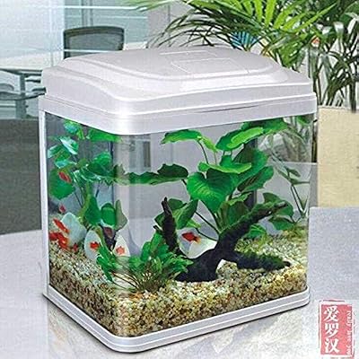 Jeepo qr-223 petit aquarium en verre blanc, taille 23,5 * 16,5 * hauteur 27,5 cm, adapté à la maison et au bureau. Diaytar Sénégal : Des produits pour toute la famille à prix cassés