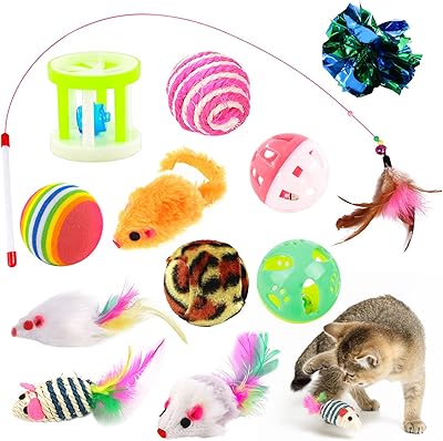 Un ensemble de jouets pour chat assortis de 12 pièces, des jouets