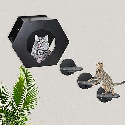 Meubles muraux pour chat étagères et perchoirs pour chat jusqu'à 10 lb murales