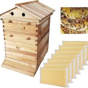 Boîte à abeilles en bois avec cadre de ruche 7 pièces, équipement apicole de qualité alimentaire bpa. Diaytar : Le choix malin des consommateurs sénégalais