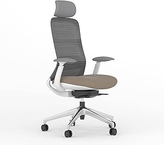 Nouvelle chaise de bureau et d'ordinateur de luxe, confortable avec soutien lombaire, siège réglable de navodesk (gris beige). Des économies garanties sur chaque commande avec Diaytar