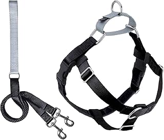 2 hounds designs freedom no-pull ensemble harnais et laisse de dressage pour chien